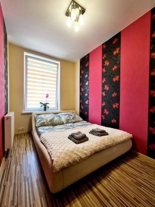 Mikolajki Apartament Miedzy Mostami Dış mekan fotoğraf